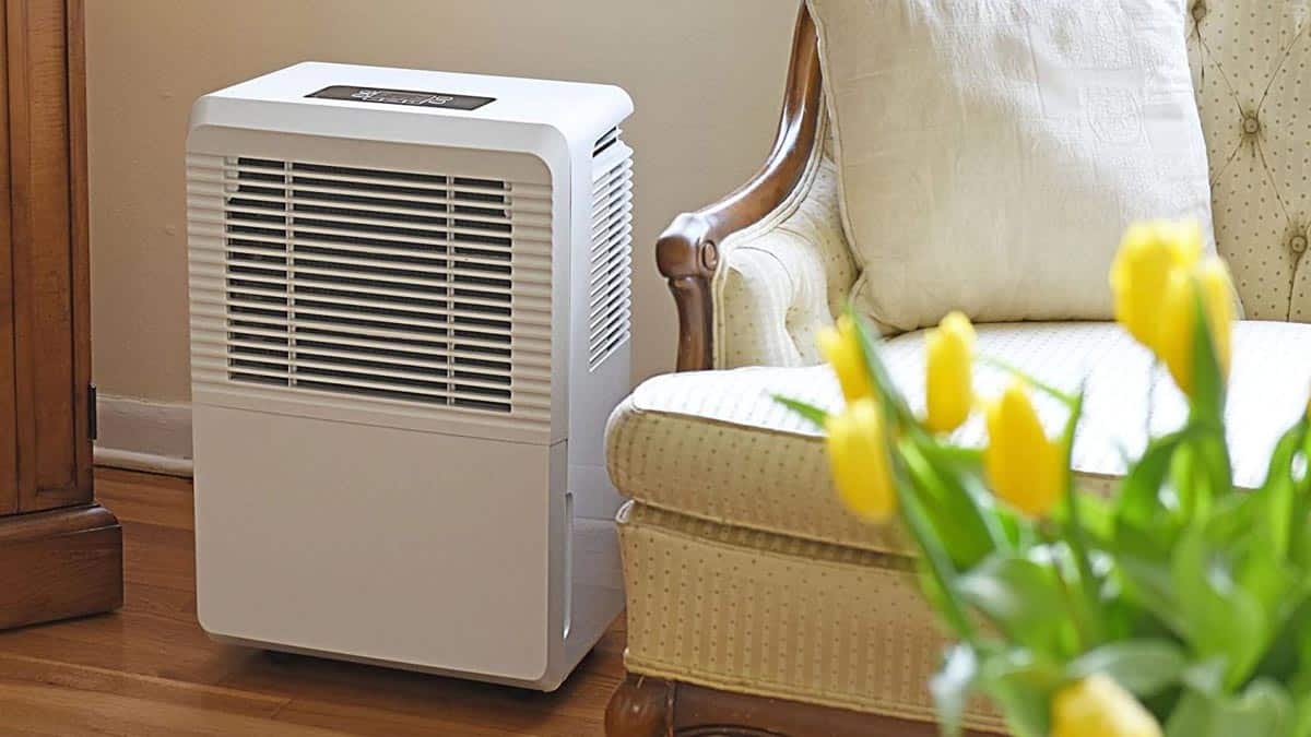 Dehumidifiers Mid North Coast Dehumidifiers Mid North Coast